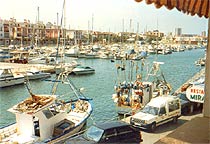 May, Cabo de Palos harbour, Murcia