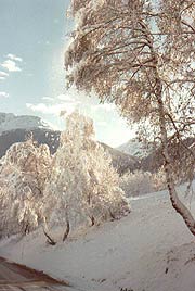 December, Valais, Switzerland: I did'nt find any snowy picture on the Mediterranean Coast...