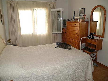 Chambre  coucher avec chat sur le lit