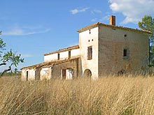 A field in January in the La Xara hamlet near Denia, Costa Blanca