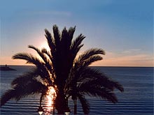 The spring in Jvea, sunrise over the Mediterranean, behind a palm tree