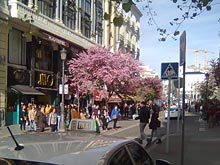 La Calle Mayor en direction de la Plaza Puerta del Sol, à Madrid