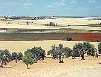 The summer over La Mancha